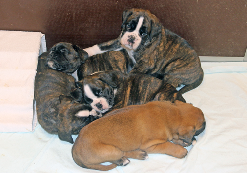 k x alle 5 schlafen IMG_7817