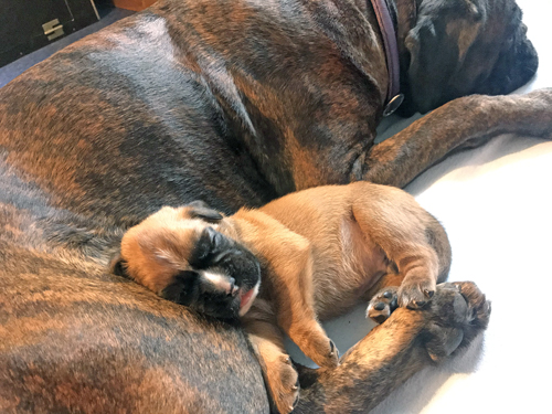 k x isabell und naruto IMG_9293