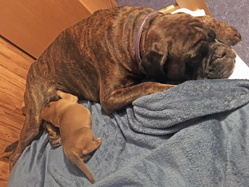 k x isabell und sohn IMG_8558