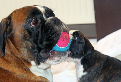 k x lisbeth ball IMG_7910