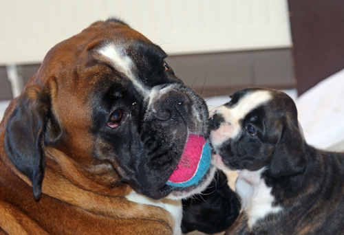 k x lisbeth ball IMG_7912