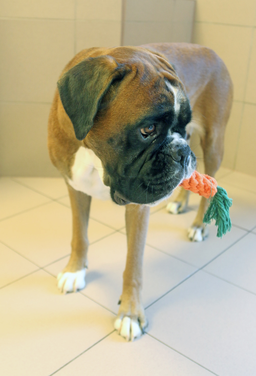 k x lisbeth mhre IMG_7835