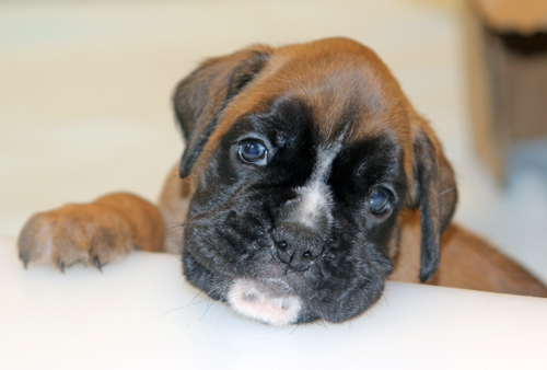 k x melissa IMG_7747