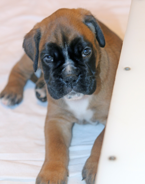 k x melissa IMG_7828