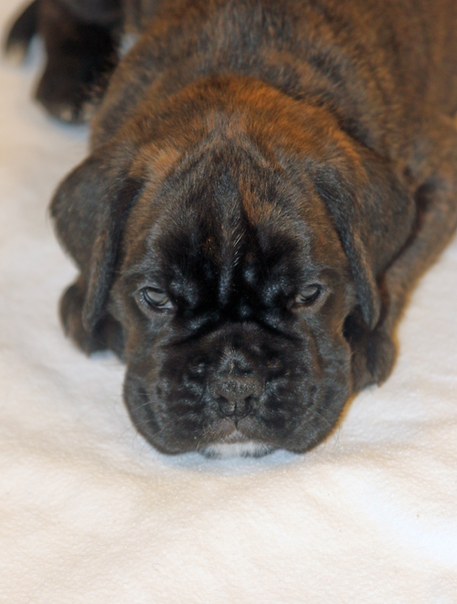 k x mona lisa IMG_7737