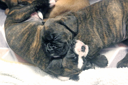 k x schlafen IMG_7819