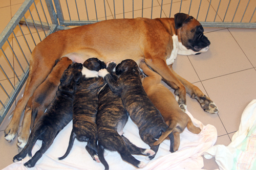 k x trinken IMG_7721