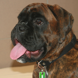 ki_mberly_und_e_s_3_klein