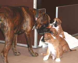 kimberly_und_e_s_4_klein