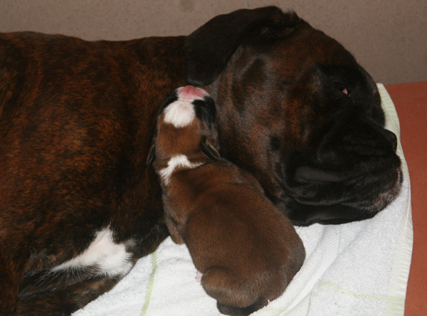 kimi greta 3 tage kl