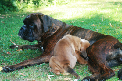 kimi greta 4 wochen 017 kl