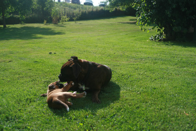 kimi greta garten 044 kl