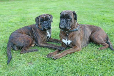 kimi isabell 047 kimi isabell 047