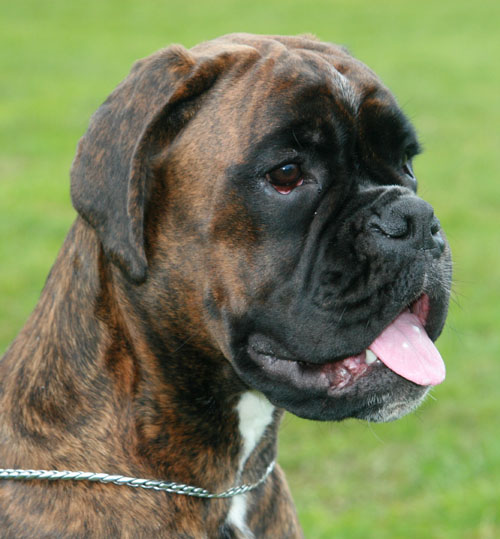 kimi kopf 01.20011 1 klein