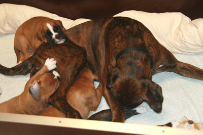 kimi_mit_e_s_1_klein