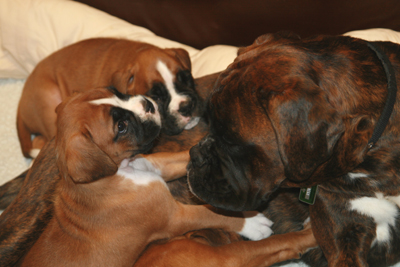 kimi_mit_e_s_2_klein