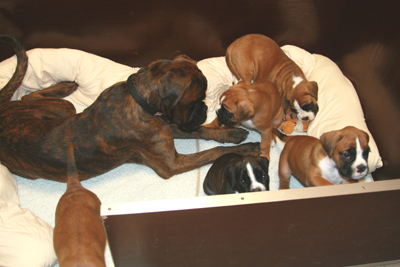 kimi_mit_e_s_3_klein