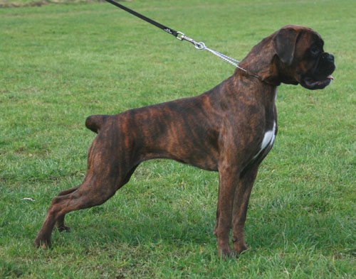 kimi stand 01.2011 4 klein