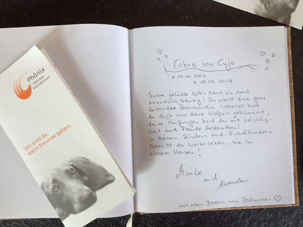 kl Eintrag Phönix kl Eintrag Phönix