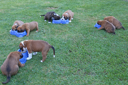 kl Ftterung IMG_2098