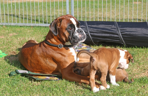 kl Greta 074 kl Greta 074