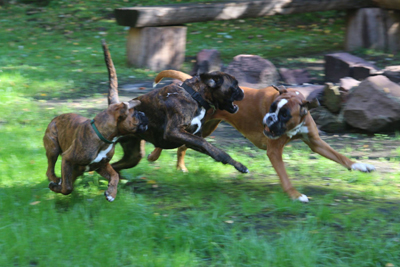 kl Greta isabell joop