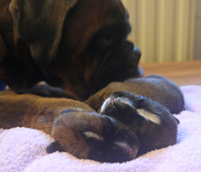 kl IMG_3251 beide vor kimi