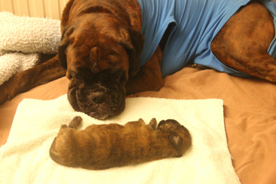 kl IMG_3270 kimi und iwo