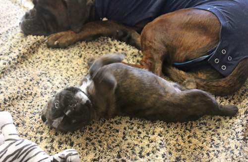 kl IMG_3326 auf rcken