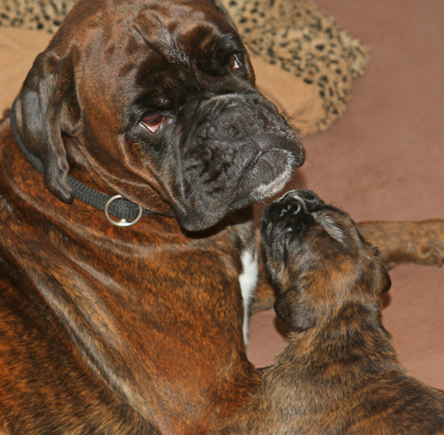 kl IMG_3389 mit kimi