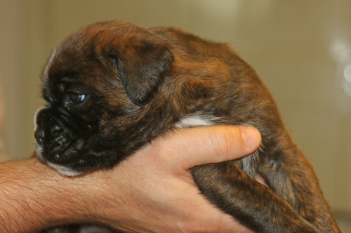 kl IMG_3397 auf hand