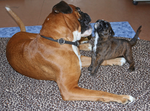 kl IMG_3431 mit donella