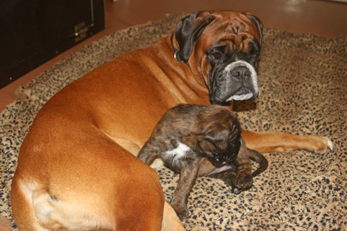 kl IMG_3456 mit donella