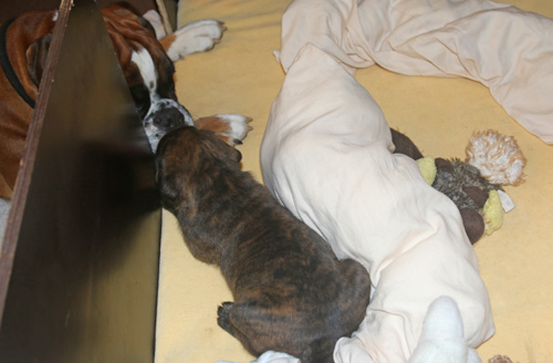 kl IMG_3500 mit greta