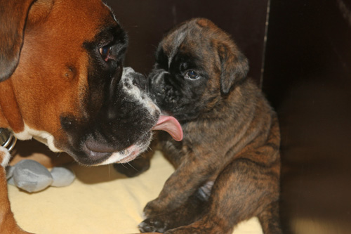 kl IMG_3512 mit greta