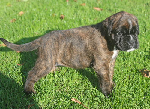 kl IMG_3535 stand 29 tage