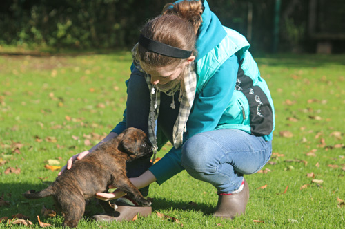 kl IMG_3536 mit mira