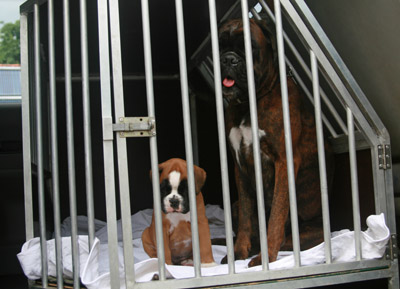 kl IMG_5973 kimi greta auto