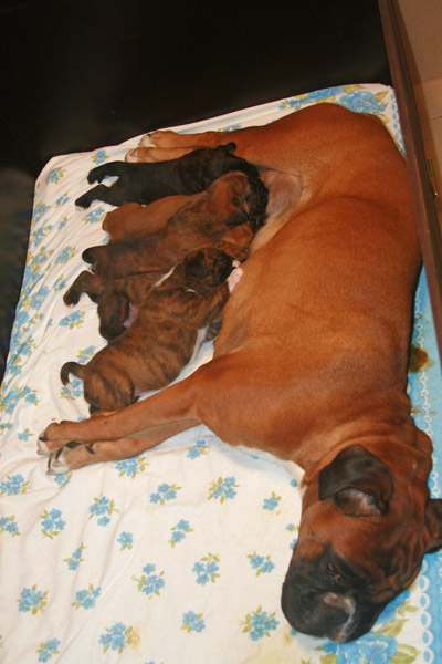 kl IMG_5975 donella h 3 w