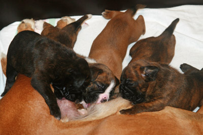 kl IMG_6001 h trinken