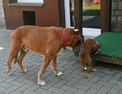 kl IMG_6042 darwin greta