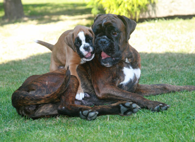 kl IMG_6049 kimi greta toben