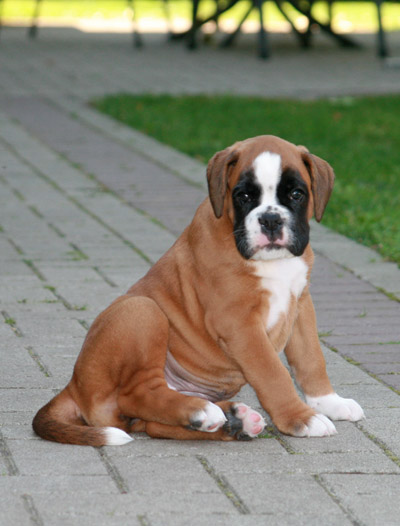 kl IMG_6061 greta 6 w