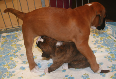 kl IMG_6080 greta henriette