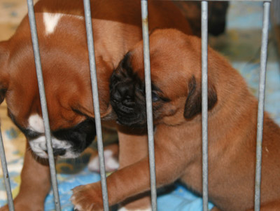 kl IMG_6087 greta hermine