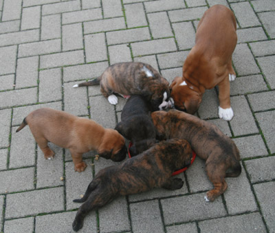 kl IMG_6134 g h fressen