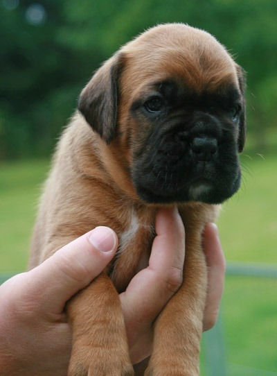 kl IMG_6141 hermine 3 w 2