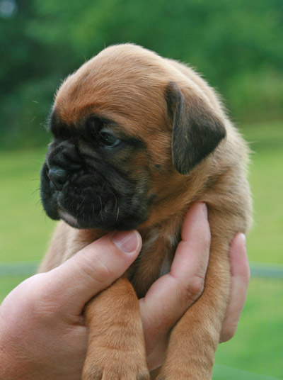 kl IMG_6142 hermine 3 w 1