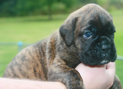 kl IMG_6144 hero 3 w 2