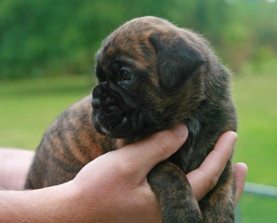 kl IMG_6146 hero 3 w 1